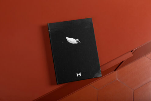 Black book cover mockup with white bird graphic on textured surface against orange background, ideal for showcase branding designs.