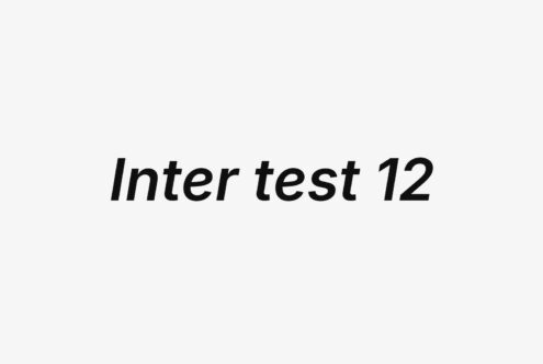 Inter test 12 in bold italic black sans serif on light gray background